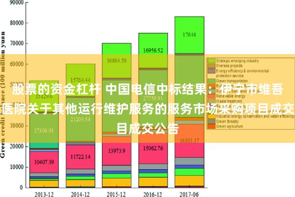 股票的资金杠杆 中国电信中标结果：伊宁市维吾尔医医院关于