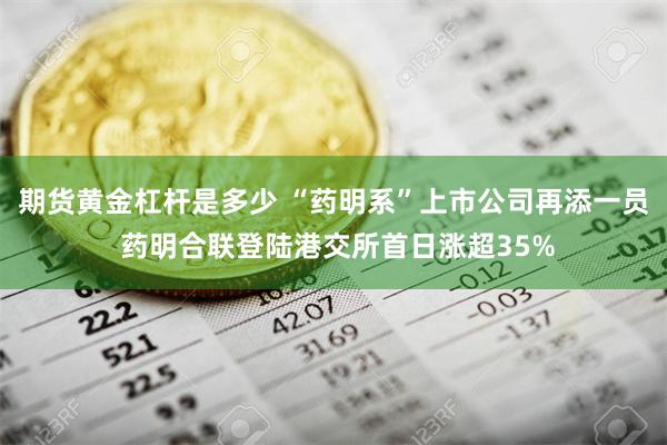 期货黄金杠杆是多少 “药明系”上市公司再添一员 药明合联