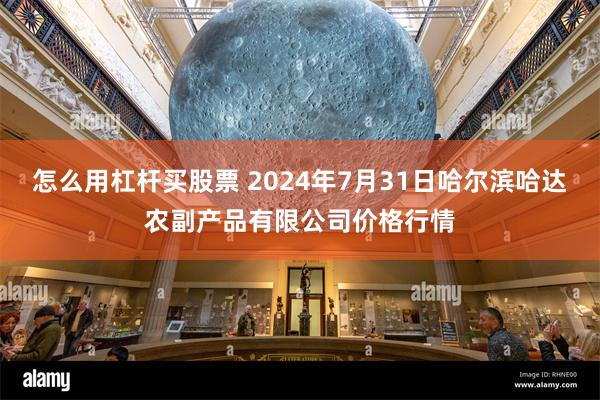 怎么用杠杆买股票 2024年7月31日哈尔滨哈达农副产品