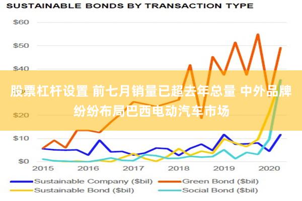 股票杠杆设置 前七月销量已超去年总量 中外品牌纷纷布局巴西电动汽车市场