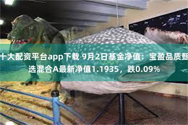 十大配资平台app下载 9月2日基金净值：宝盈品质甄选混合A最新净值1.1935，跌0.09%