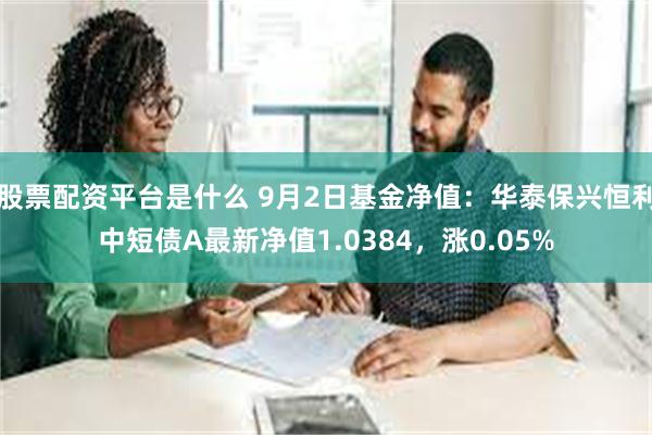 股票配资平台是什么 9月2日基金净值：华泰保兴恒利中短债A最新净值1.0384，涨0.05%