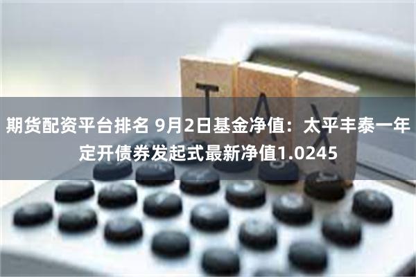 期货配资平台排名 9月2日基金净值：太平丰泰一年定开债券发起式最新净值1.0245