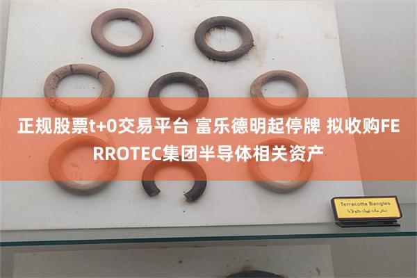 正规股票t+0交易平台 富乐德明起停牌 拟收购FERROTEC集团半导体相关资产