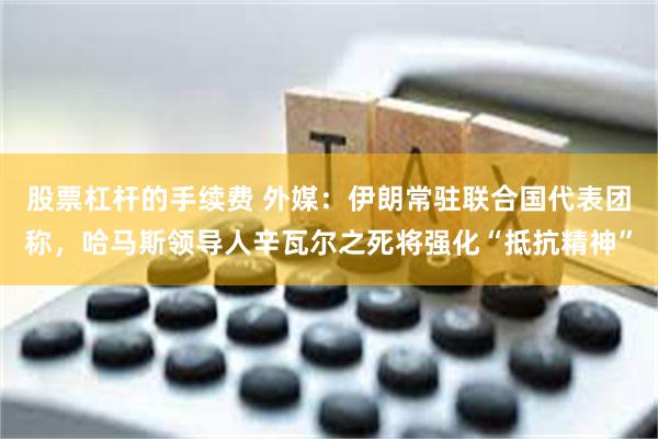 股票杠杆的手续费 外媒：伊朗常驻联合国代表团称，哈马斯领导人辛瓦尔之死将强化“抵抗精神”