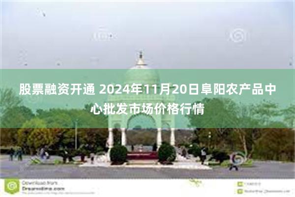 股票融资开通 2024年11月20日阜阳农产品中心批发市场价格行情