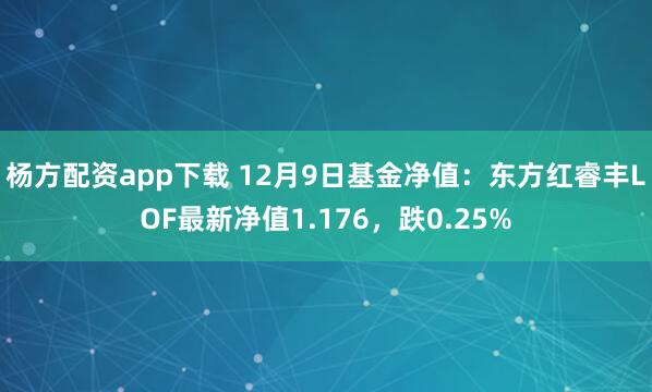 杨方配资app下载 12月9日基金净值：东方红睿丰LOF最新净值1.176，跌0.25%