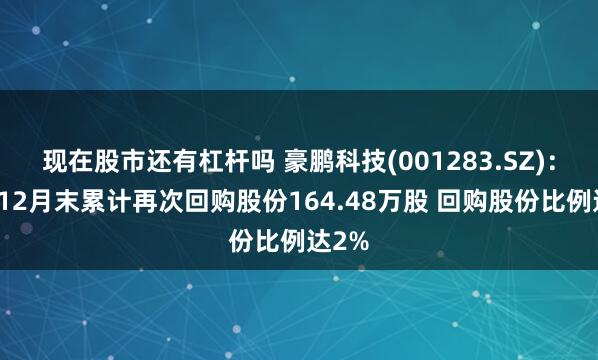 现在股市还有杠杆吗 豪鹏科技(001283.SZ)：截至12月末累计再次回购股份164.48万股 回购股份比例达2%