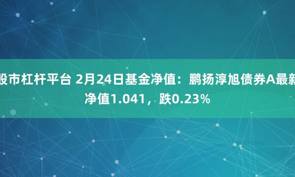 股市杠杆平台 2月24日基金净值：鹏扬淳旭债券A最新净值1.041，跌0.23%